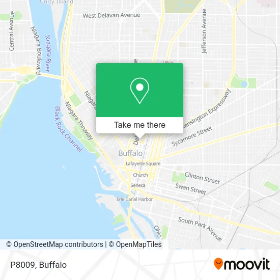 P8009 map