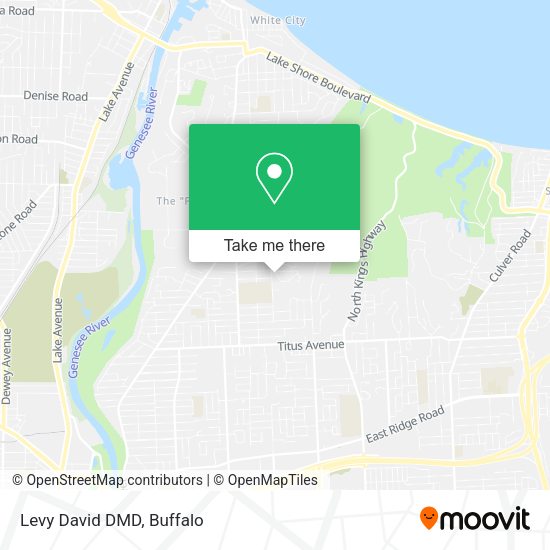 Mapa de Levy David DMD