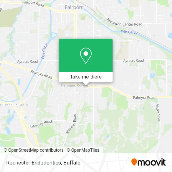 Rochester Endodontics map