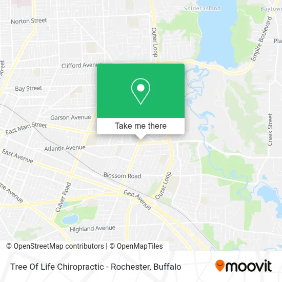 Tree Of Life Chiropractic - Rochester map