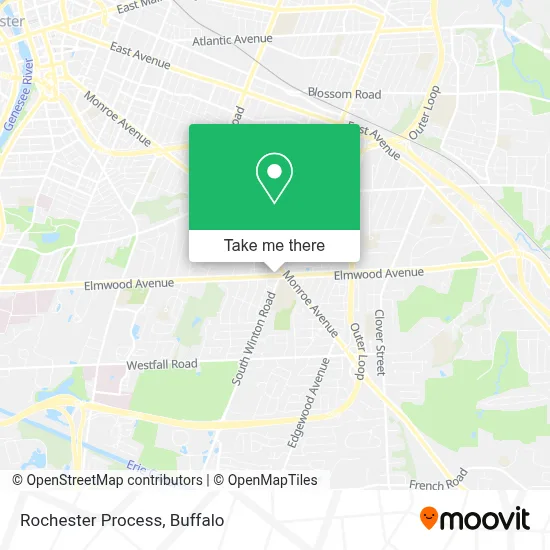 Rochester Process map