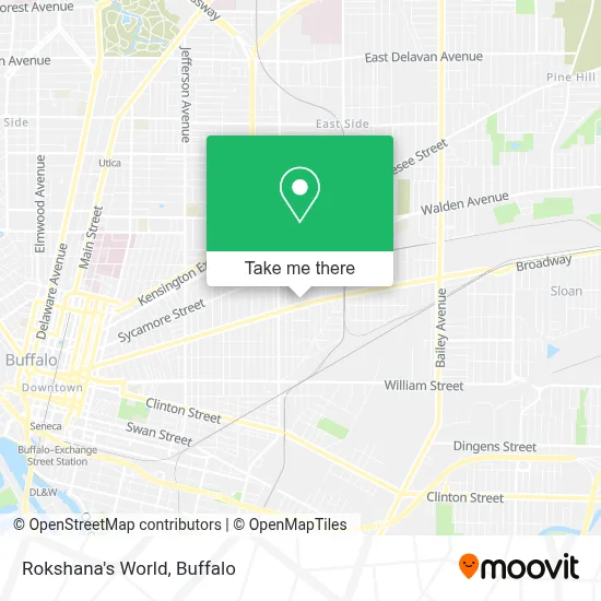 Rokshana's World map