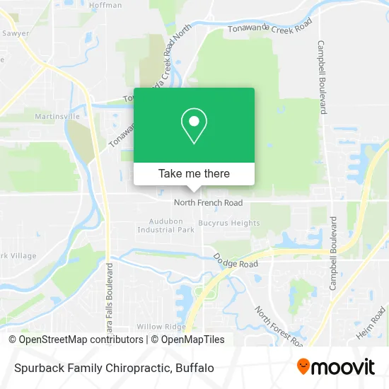 Spurback Family Chiropractic map