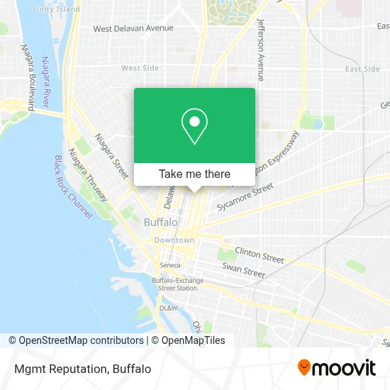 Mgmt Reputation map