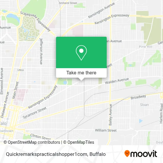 Quickremarkspracticalshopper1com map