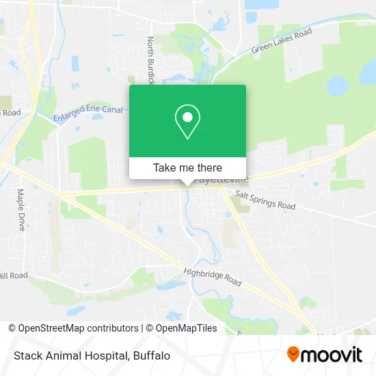 Stack Animal Hospital map