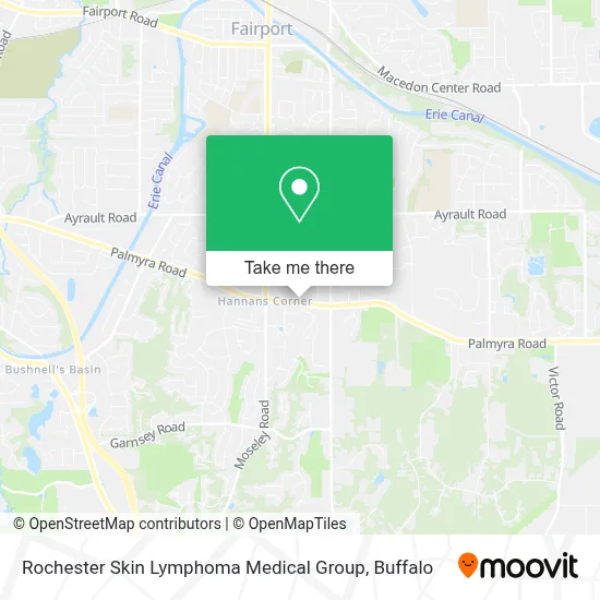 Rochester Skin Lymphoma Medical Group map