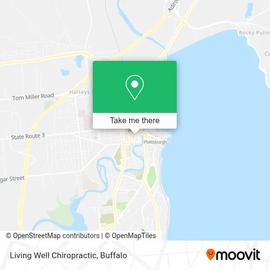 Living Well Chiropractic map