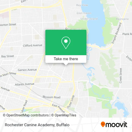 Rochester Canine Academy map