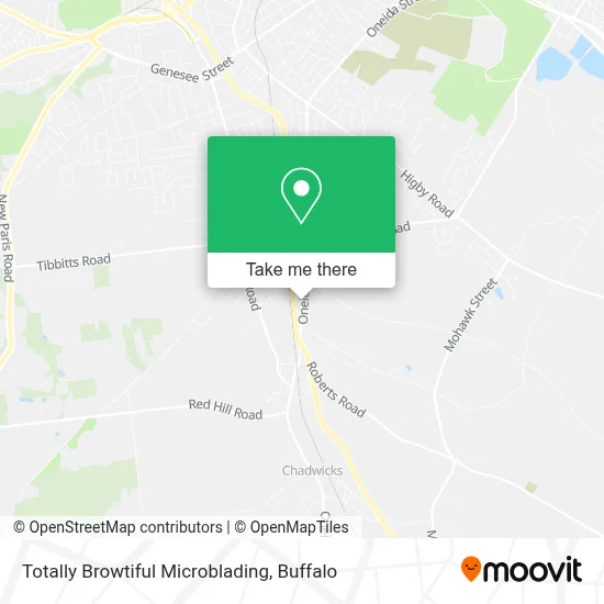 Totally Browtiful Microblading map