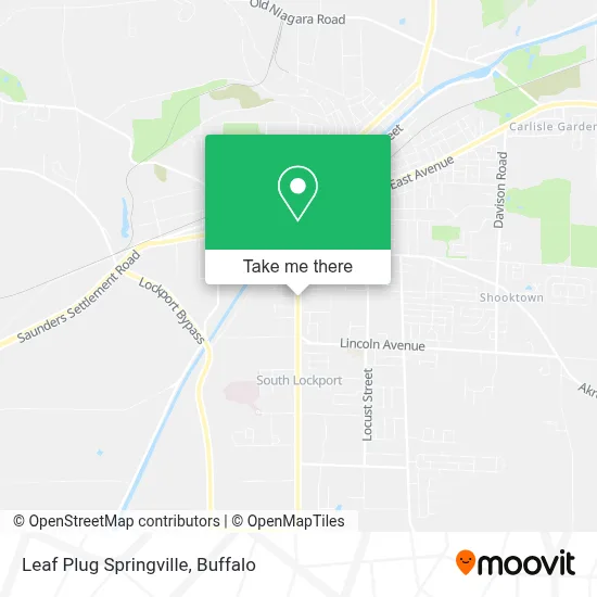 Leaf Plug Springville map