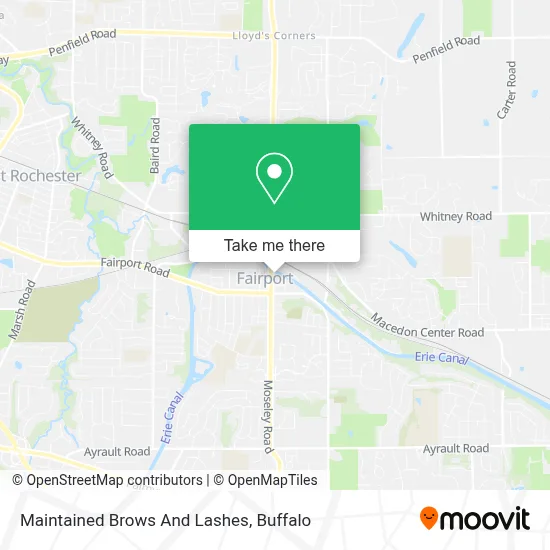 Maintained Brows And Lashes map