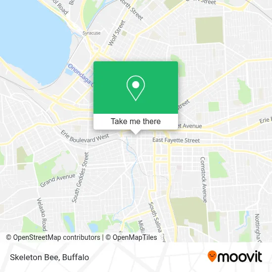 Skeleton Bee map