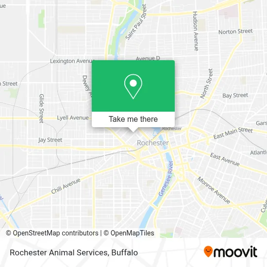 Rochester Animal Services map