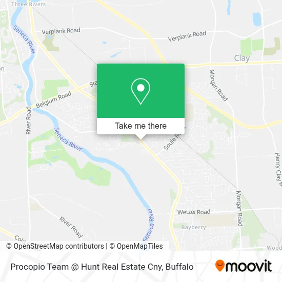 Procopio Team @ Hunt Real Estate Cny map
