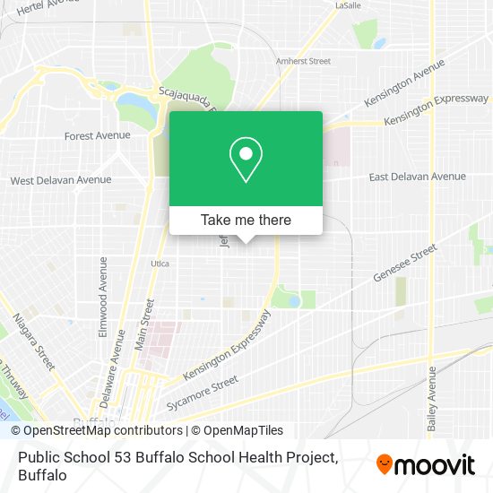Public School 53 Buffalo School Health Project map