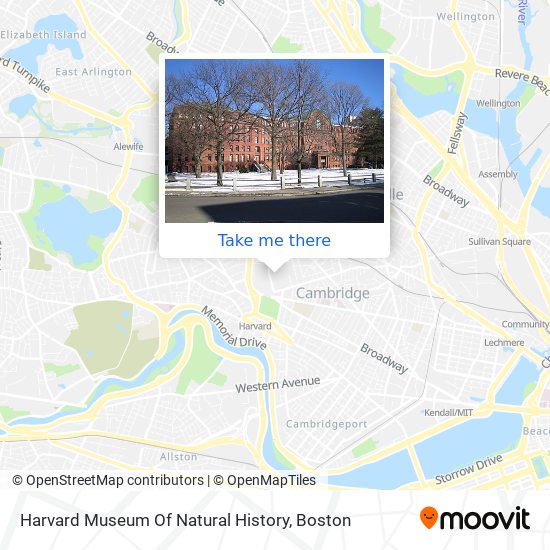 Mapa de Harvard Museum Of Natural History