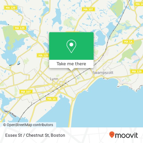 Essex St / Chestnut St map