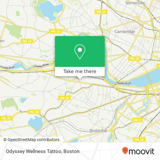 Odyssey Wellness Tattoo map