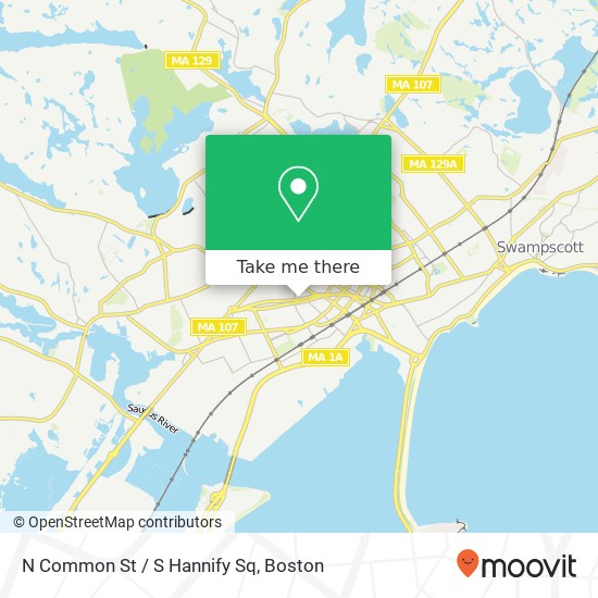 N Common St / S Hannify Sq map