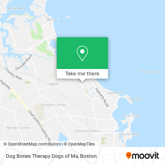 Dog Bones Therapy Dogs of Ma map