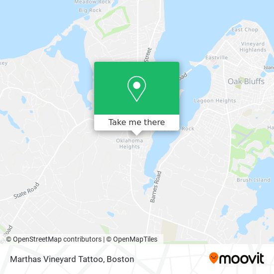 Marthas Vineyard Tattoo map