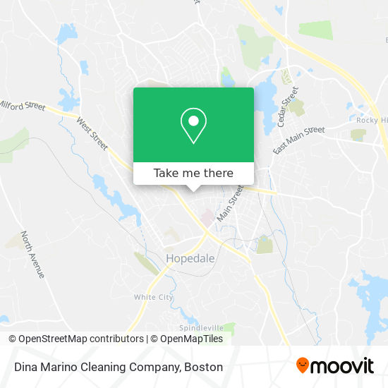 Dina Marino Cleaning Company map