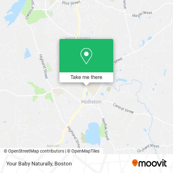 Mapa de Your Baby Naturally