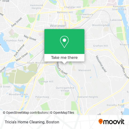 Tricia's Home Cleaning map