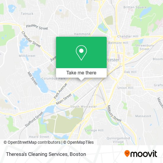Theresa's Cleaning Services map