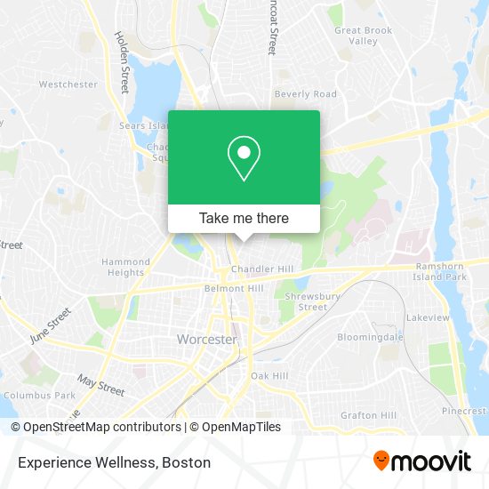 Experience Wellness map