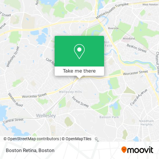Mapa de Boston Retina