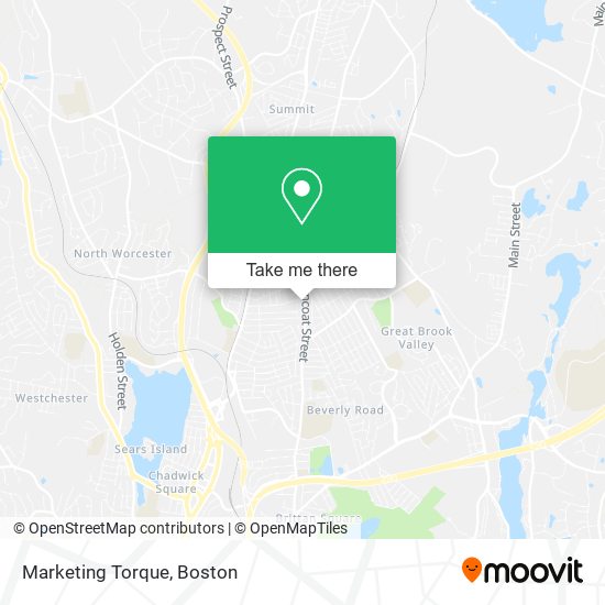 Marketing Torque map