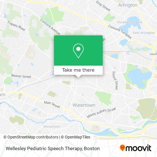 Mapa de Wellesley Pediatric Speech Therapy