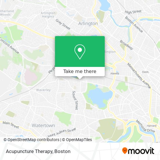 Mapa de Acupuncture Therapy