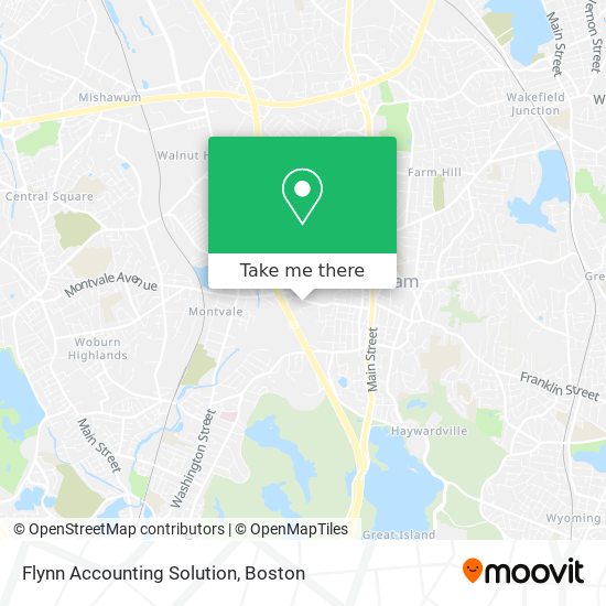 Flynn Accounting Solution map