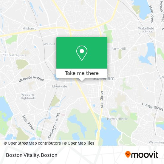 Mapa de Boston Vitality