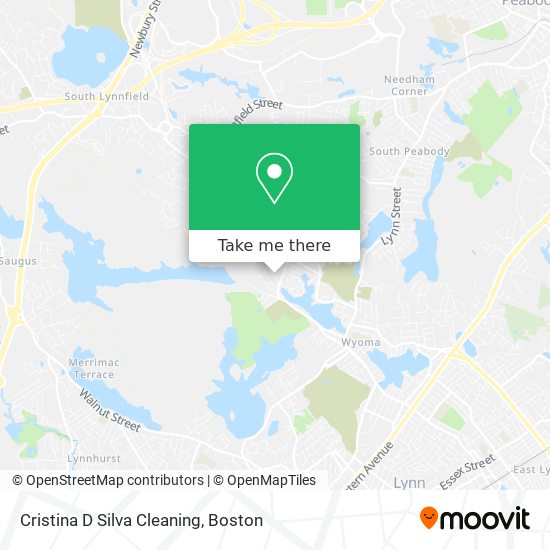 Cristina D Silva Cleaning map