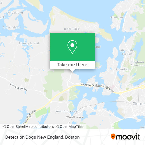 Mapa de Detection Dogs New England