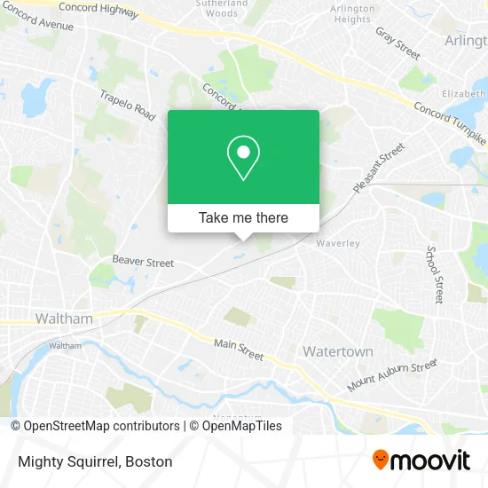 Mighty Squirrel map
