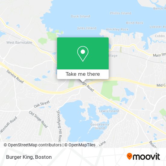 Burger King map