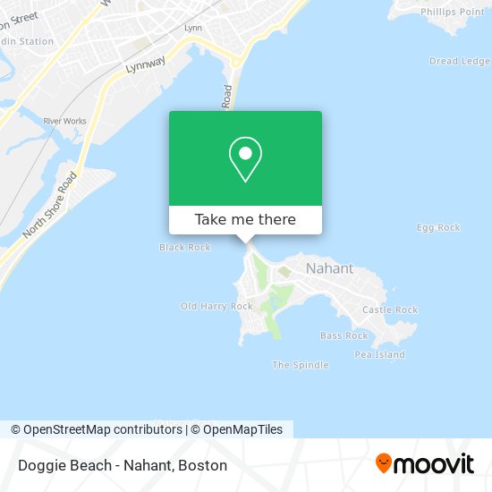 Doggie  Beach - Nahant map