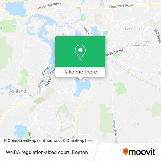 WNBA regulation-sized court map