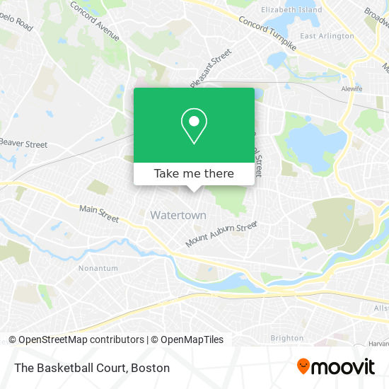 The Basketball Court map