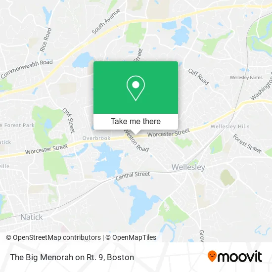 The Big Menorah on Rt. 9 map