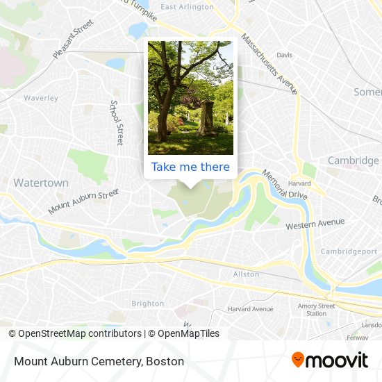 Mount Auburn Cemetery map
