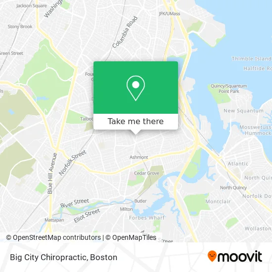 Big City Chiropractic map