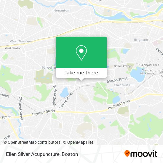 Ellen Silver Acupuncture map