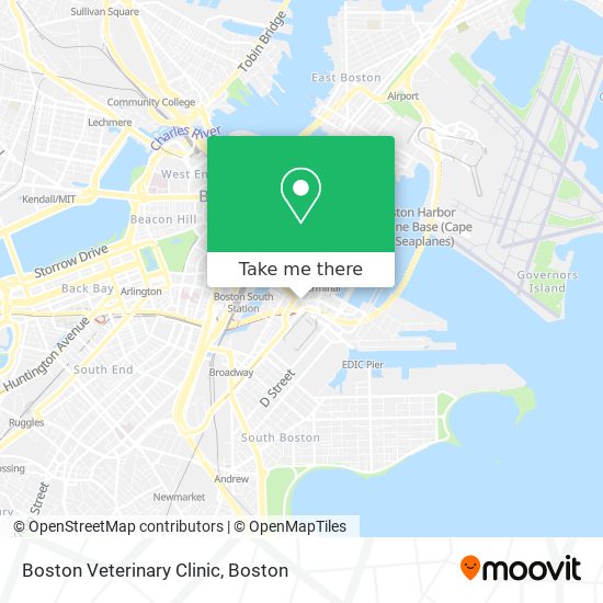 Mapa de Boston Veterinary Clinic