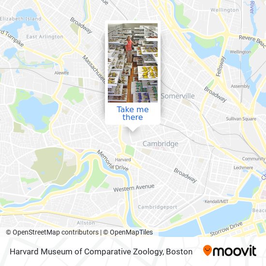 Mapa de Harvard Museum of Comparative Zoology